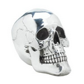 Smiling Silvery Skull